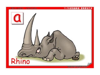 Rhino 