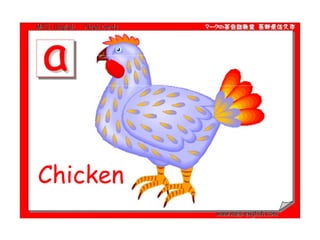Chicken 