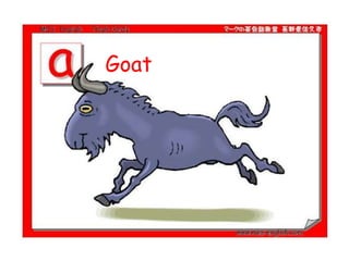 Goat
 