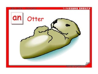 Otter
 
