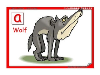 Wolf
 