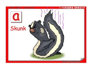 Skunk
 