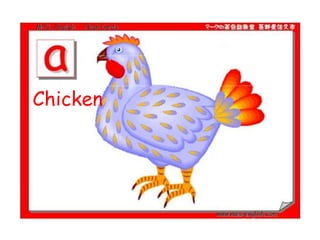 Chicken
 