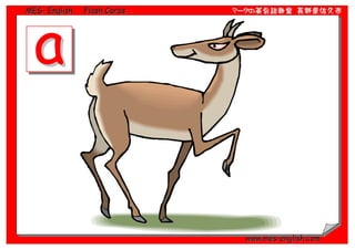 MES- English   Flash Cards   マークの英会話教室 長野県佐久市




                               www.mes-english.com
 