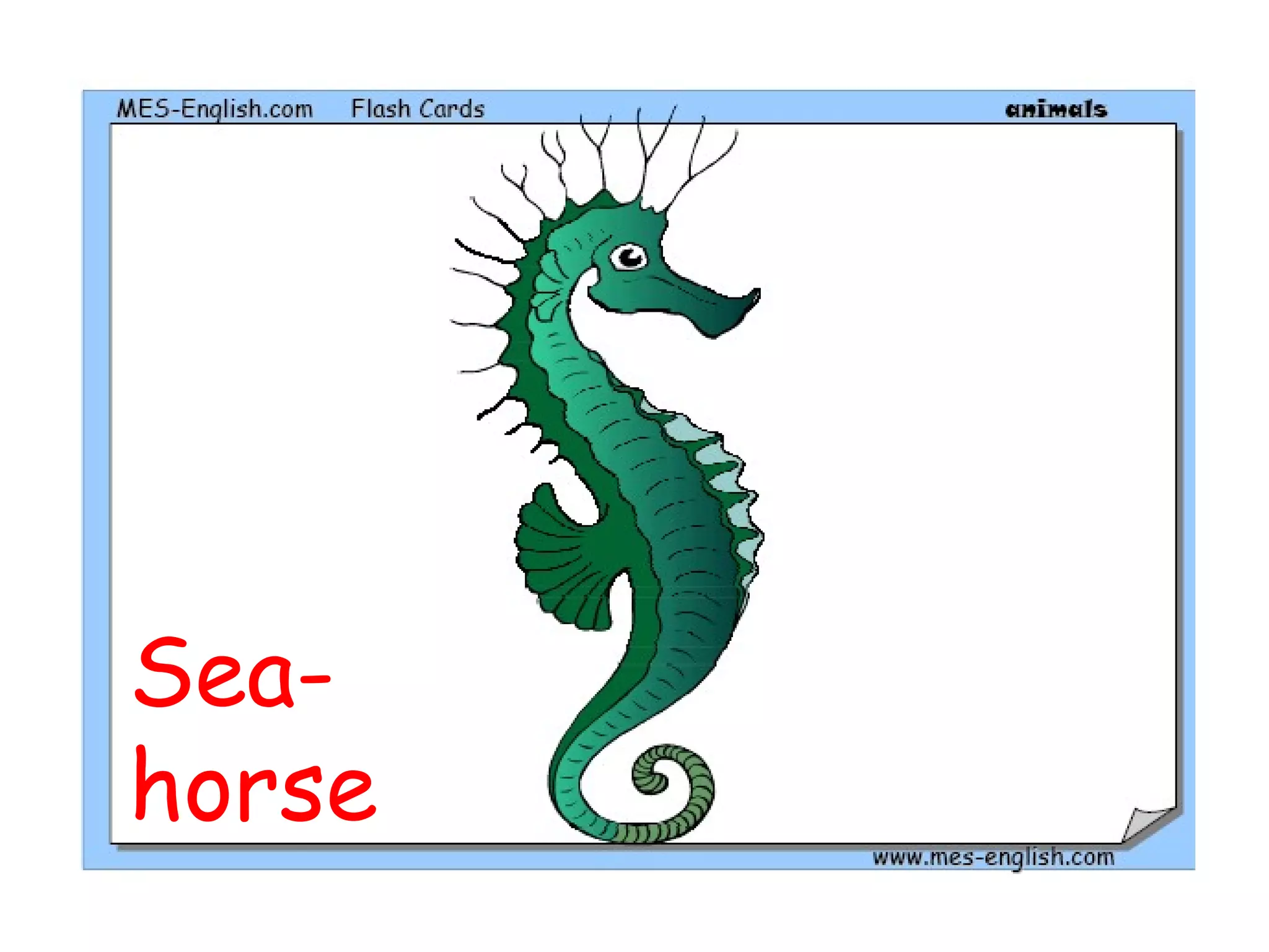 Sea-
horse
 