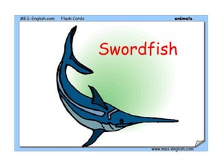 Swordfish
 