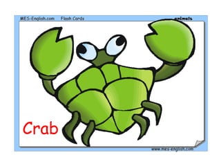 Crab
 