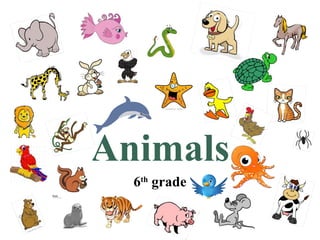 Animals
  6th grade
 