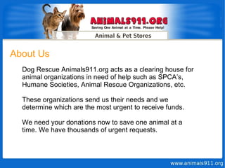 About Us Dog Rescue Animals911.org acts as a clearing house for animal organizations in need of help such as SPCA’s, Humane Societies, Animal Rescue Organizations, etc. These organizations send us their needs and we determine which are the most urgent to receive funds.  We need your donations now to save one animal at a time. We have thousands of urgent requests.  
