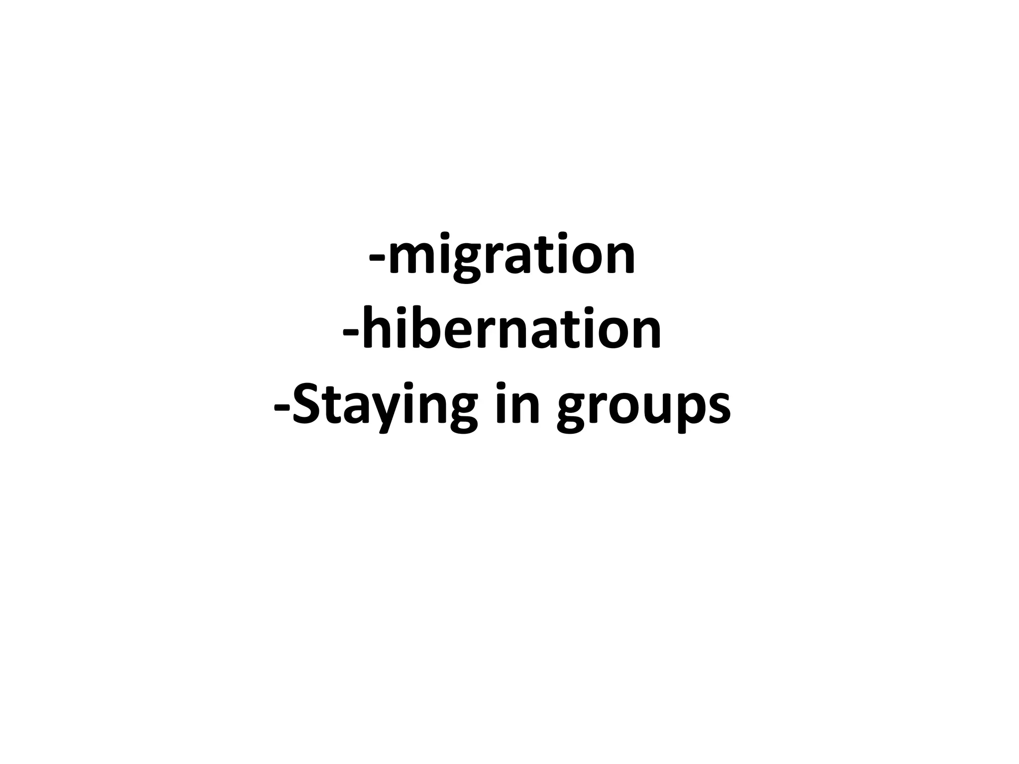 -migration
-hibernation
-Staying in groups
 