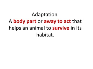 Adaptation
A body part or away to act that
helps an animal to survive in its
habitat.