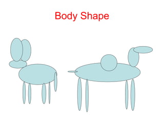 Body Shape

- Have fat, round body
shapes with short legs
- Have small ears –
why?

 