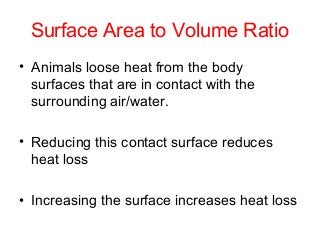 Surface Area to Volume Ratio
• Animals loose heat from the body
surfaces that are in contact with the
surrounding air/water.
• Reducing this contact surface reduces
heat loss
• Increasing the surface increases heat loss

 