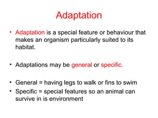 Animal adaptations
BTEOTSSSBAT know how
animals adapt to different
environments

 