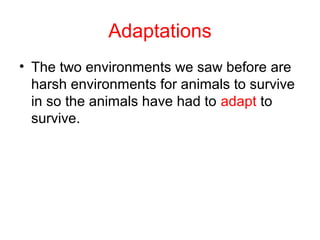 Adaptation
• Adaptation is a special feature or behaviour that
makes an organism particularly suited to its
habitat.
• Adaptations may be general or specific.
• General = having legs to walk or fins to swim
• Specific = special features so an animal can
survive in is environment

 
