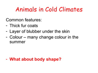 Compare these two animals…

Desert Fox

Arctic Fox

 