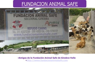 FUNDACION ANIMAL SAFE




•Amigos de la Fundación Animal Safe de Ginebra-Valle
      •http://www.fundacionanimalsafe.com
 