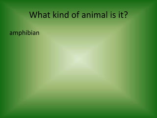 What color is it?green