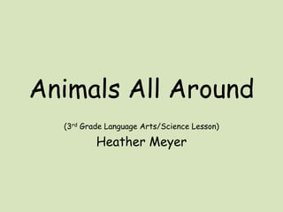 Animals All Around (3rd Grade Language Arts/Science Lesson) Heather Meyer 