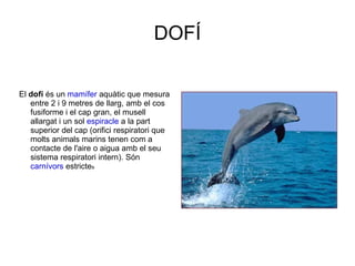 DOFÍ

El dofí és un mamífer aquàtic que mesura
   entre 2 i 9 metres de llarg, amb el cos
   fusiforme i el cap gran, el musell
   allargat i un sol espiracle a la part
   superior del cap (orifici respiratori que
   molts animals marins tenen com a
   contacte de l'aire o aigua amb el seu
   sistema respiratori intern). Són
   carnívors estrictes
 