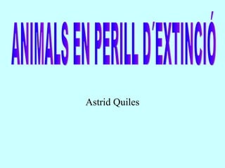 Astrid Quiles ANIMALS EN PERILL D´EXTINCIÓ 