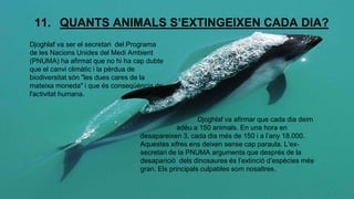 11. QUANTS ANIMALS S’EXTINGEIXEN CADA DIA? 
Djoghlaf va ser el secretari del Programa 
de les Nacions Unides del Medi Ambient 
(PNUMA) ha afirmat que no hi ha cap dubte 
que el canvi climàtic i la pèrdua de 
biodiversitat són "les dues cares de la 
mateixa moneda" i que és conseqüència de 
l'activitat humana. 
Djoghlaf va afirmar que cada dia deim 
adéu a 150 animals. En una hora en 
desapareixen 3, cada dia més de 150 i a l’any 18.000. 
Aquestes xifres ens deixen sense cap paraula. L’ex-secretari 
de la PNUMA argumenta que després de la 
desaparició dels dinosaures és l’extinció d’espècies més 
gran. Els principals culpables som nosaltres. 
 
