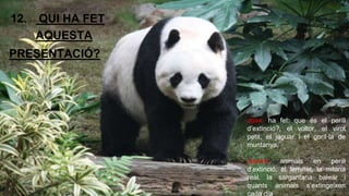 PRESENTACIÓ? 
Joan: ha fet: que és el perill 
d’extinció?, el voltor, el virot 
petit, el jaguar i el goril·la de 
muntanya. 
Jaume: animals en perill 
d’extinció, el ferreret, la milana 
real, la sargantana balear i 
quants animals s’extingeixen 
cada dia 
12. QUI HA FET 
AQUESTA 
 