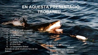 EN AQUESTA PRESENTACIÓ 
TROBAREU... 
1. Què és el perill d’extinció? 
2. Animals en perill d’extinció 
3. de les Balears 
4. El Ferreret 
5. El Voltor 
6. La Milana Real 
7. El Virot Petit 
8. La Sargantana Balear 
Animals en perill d’extinció fora de les 
Balears 
9. El Jaguar 
10. El Goril·la de muntanya 
11. Quants animals 
s'extingeixen cada dia? 
12. Qui ha fet aquesta 
presentació? 
 