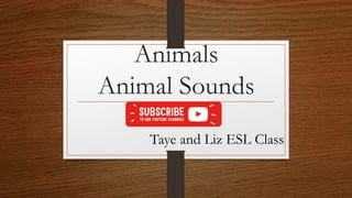 Animals
Animal Sounds
Taye and Liz ESL Class
 