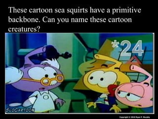 These cartoon sea squirts have a primitive
backbone. Can you name these cartoon
creatures?
Copyright © 2010 Ryan P. Murphy
 