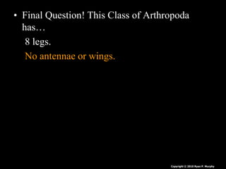 • Final Question! This Class of Arthropoda
has…
8 legs.
No antennae or wings.
Two body parts.
• Head and sensory.
• Abdome...