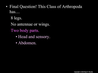 • Final Question! This Class of Arthropoda
has…
8 legs.
No antennae or wings.
Two body parts.
• Head and sensory.
• Abdome...