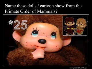 Name these dolls / cartoon show from the
Primate Order of Mammals?
Copyright © 2010 Ryan P. Murphy
 