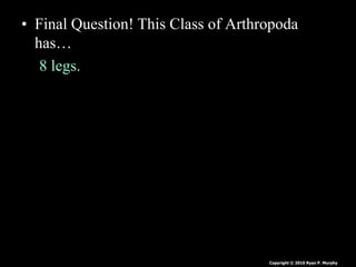 • Final Question! This Class of Arthropoda
has…
8 legs.
No antennae or wings.
Copyright © 2010 Ryan P. Murphy
 