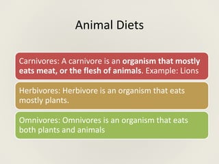 Animals_and_Humans_Presentation.powerpoint | PPT