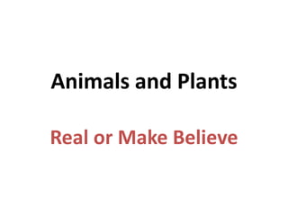 Animals and Plants Real or Make Believe 