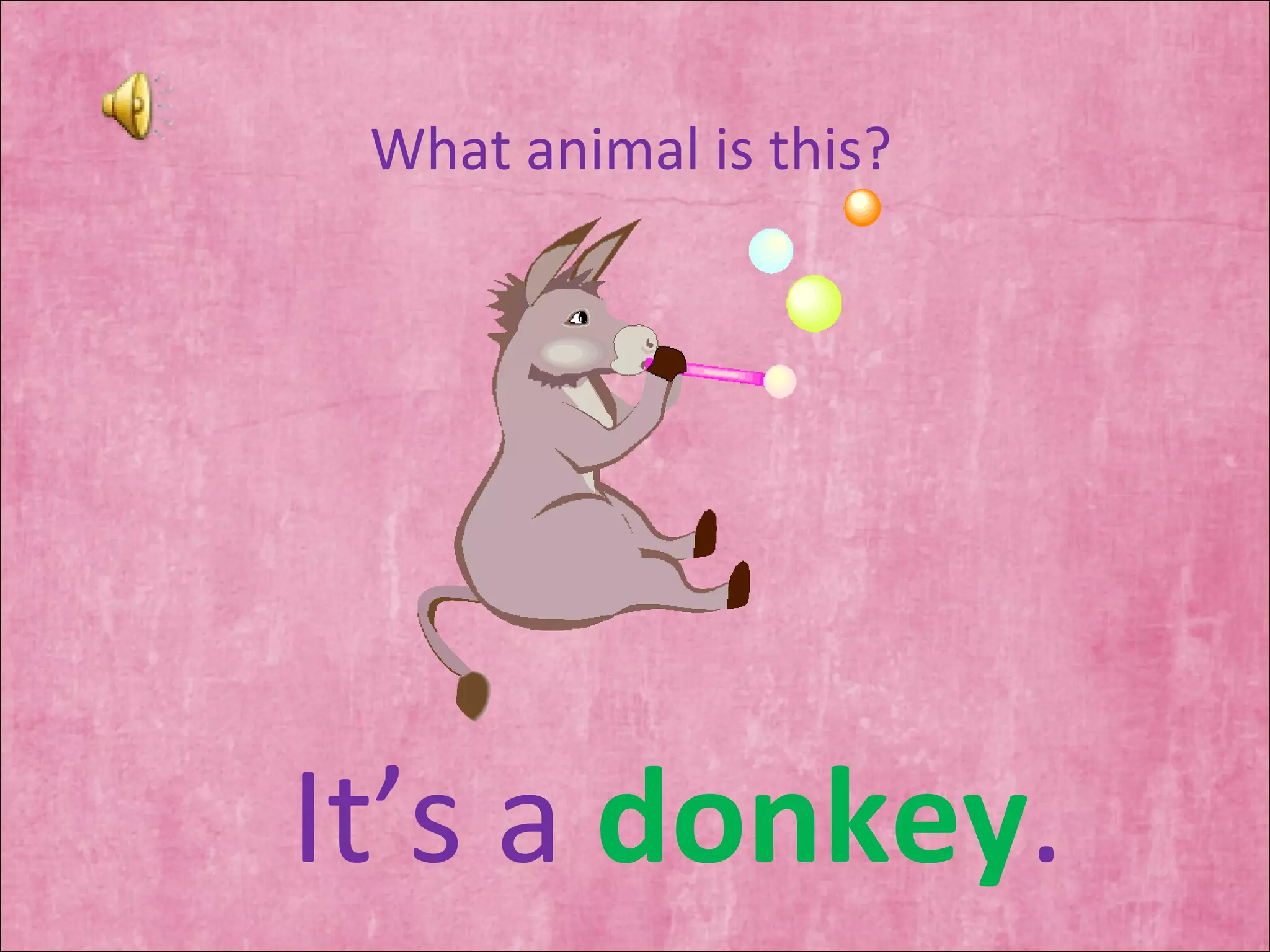 What animal is this? It’s a  donkey . 