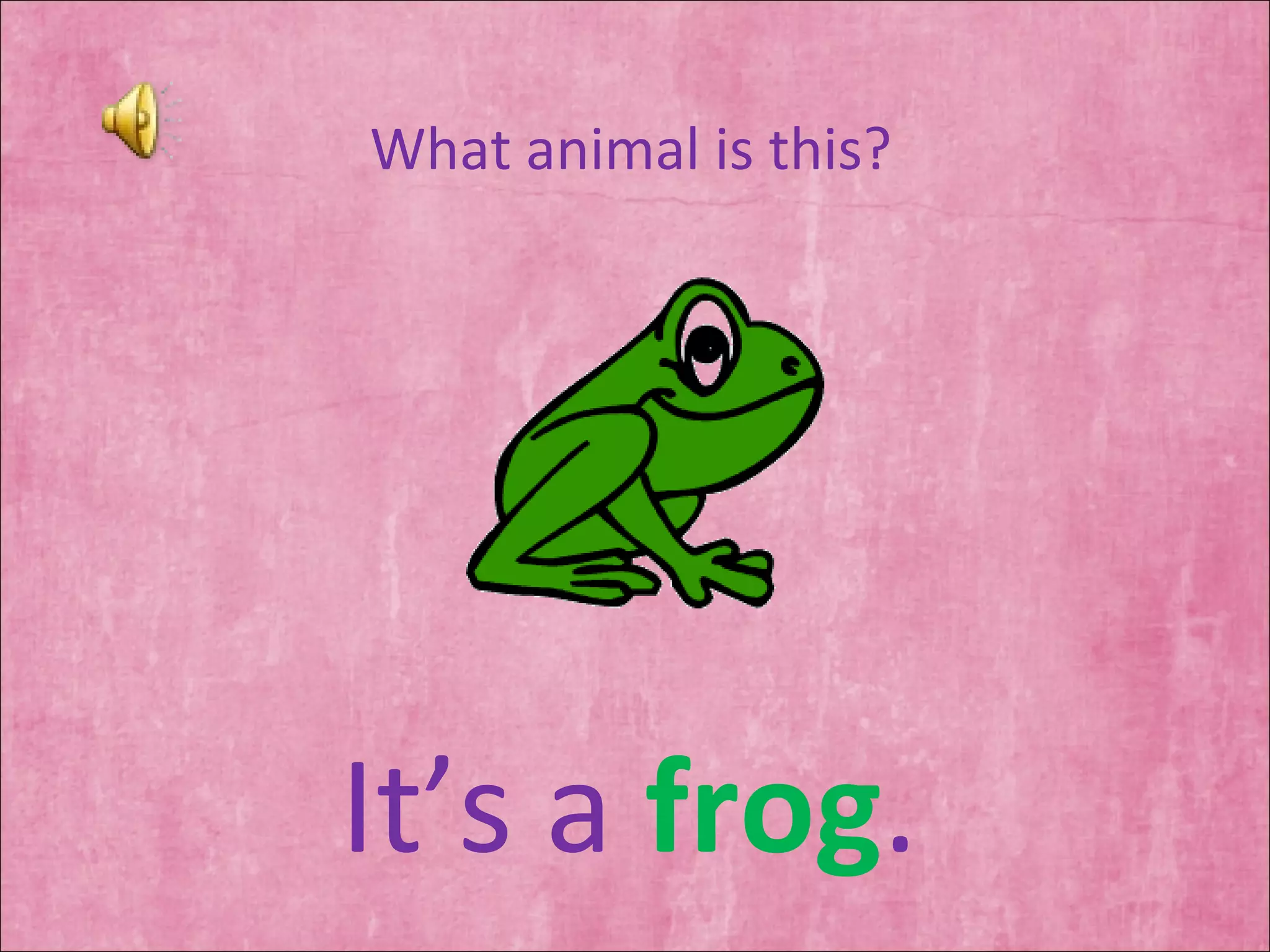 What animal is this? It’s a  frog . 