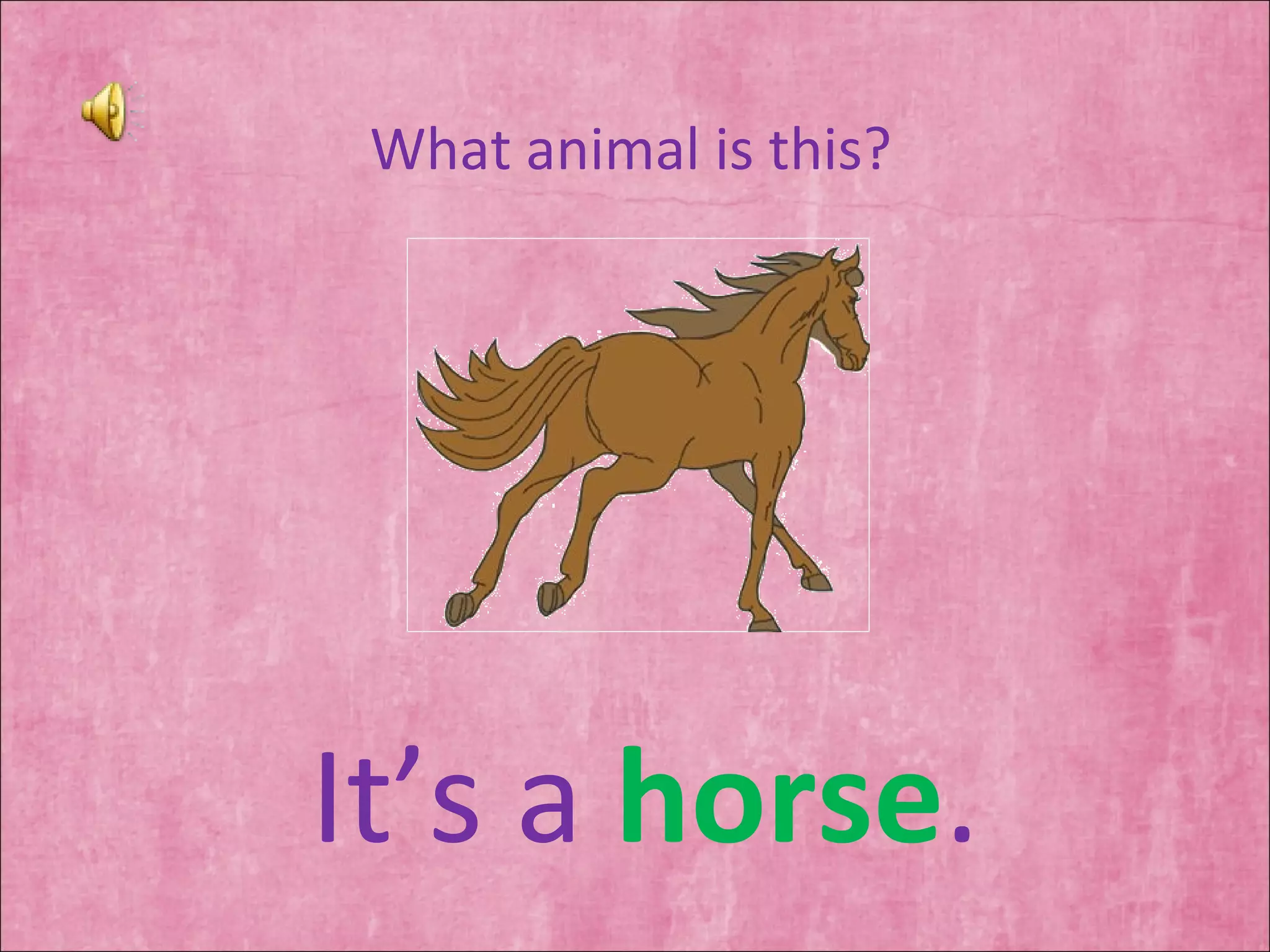 What animal is this? It’s a  horse . 