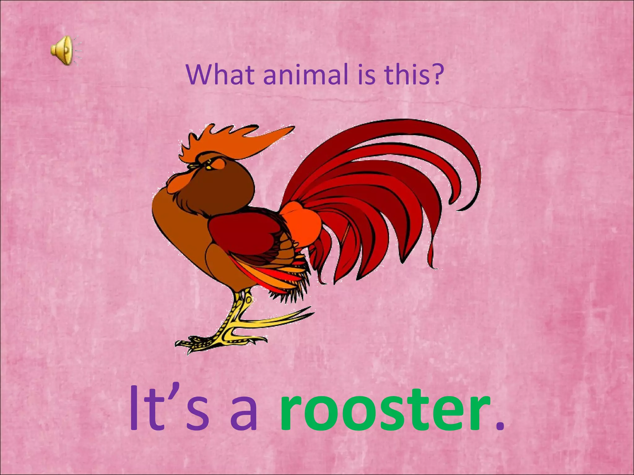 What animal is this? It’s a  rooster . 