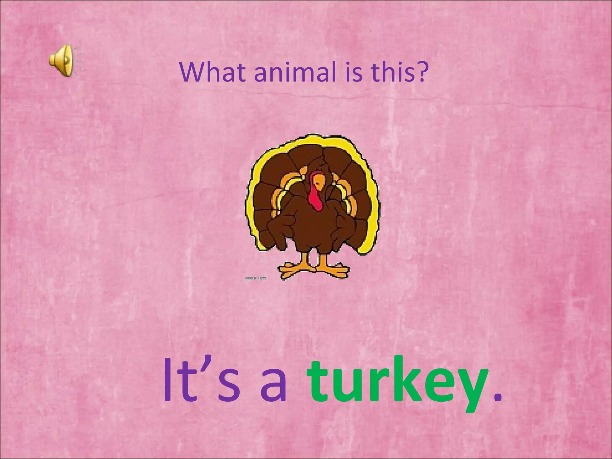 What animal is this? It’s a  turkey . 