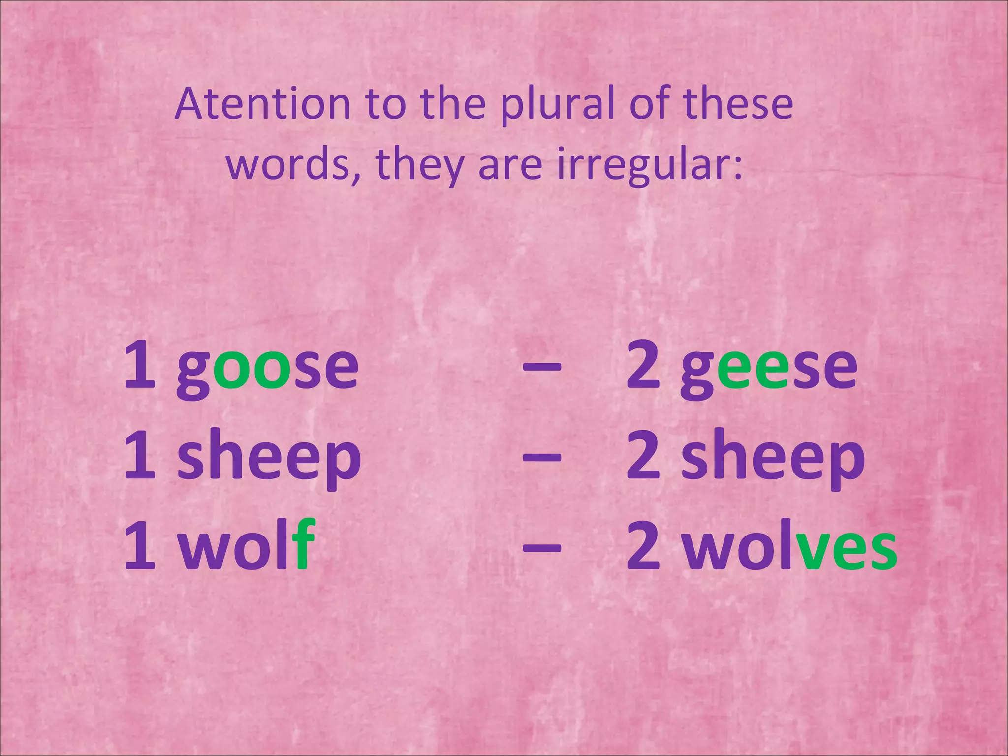 Atention to the plural of these words, they are irregular: 1 g oo se  –  2 g ee se 1 sheep  –  2 sheep 1 wol f  –  2 wol ves 