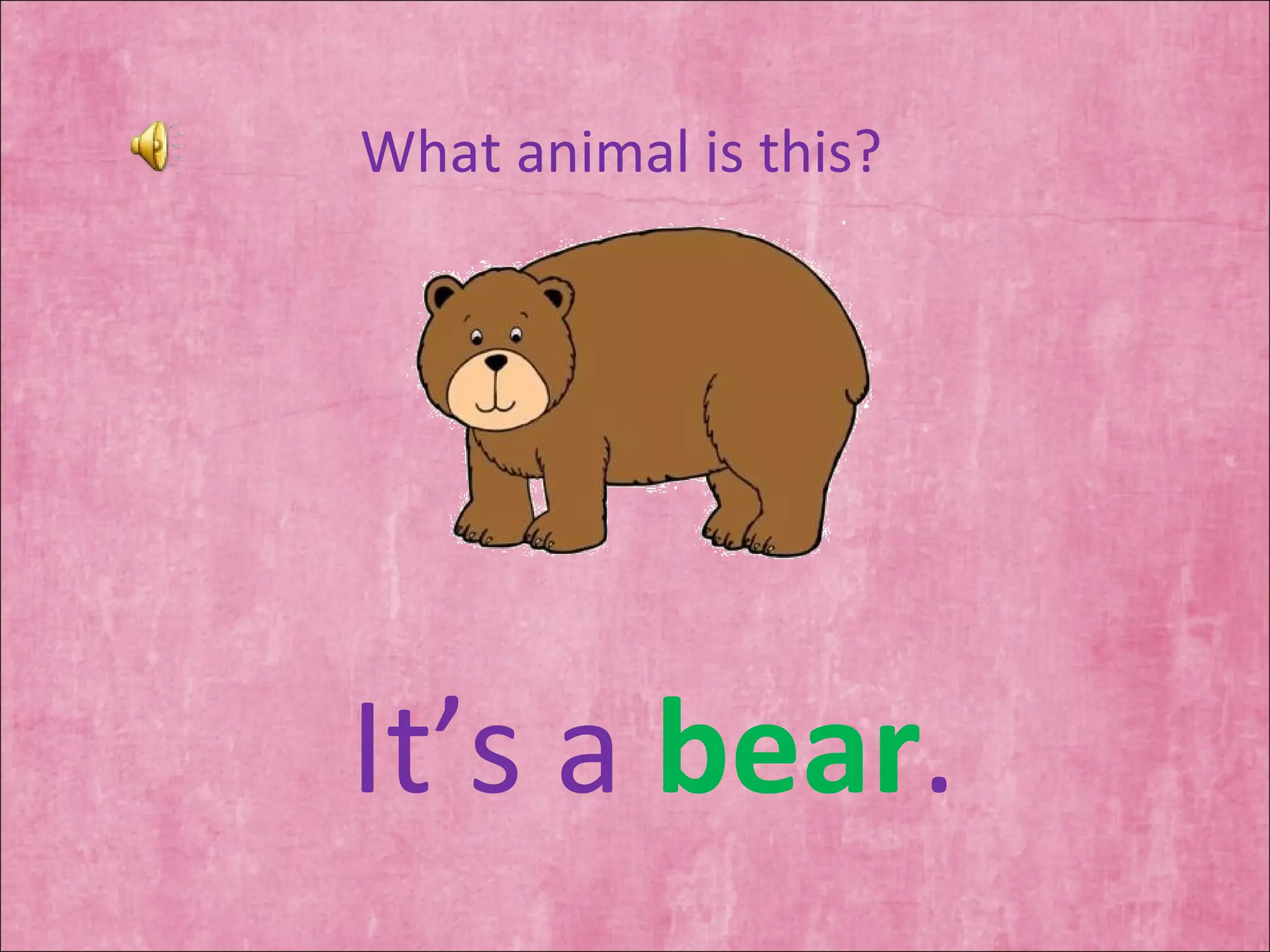 What animal is this? It’s a  bear . 
