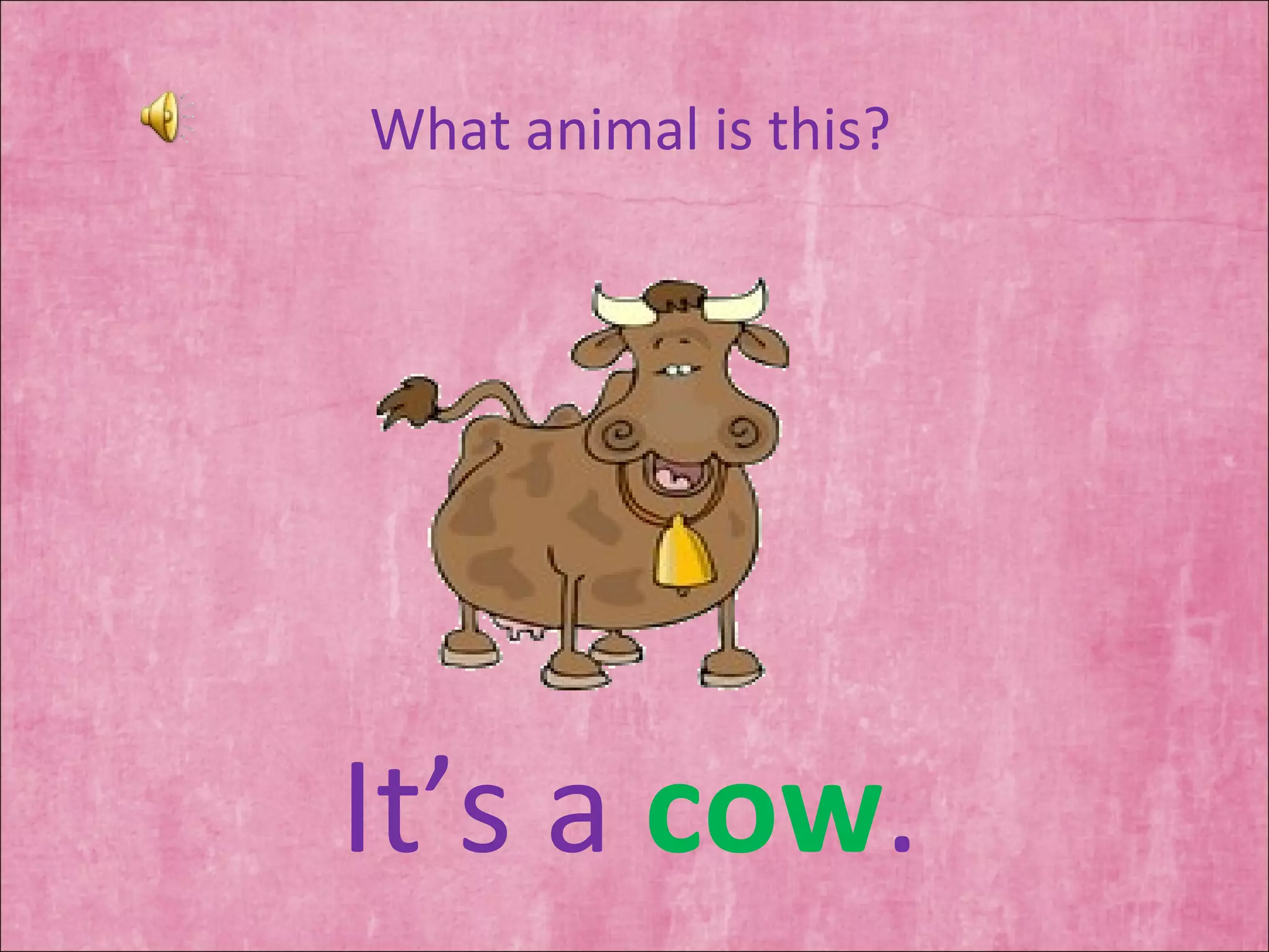 What animal is this? It’s a  cow . 