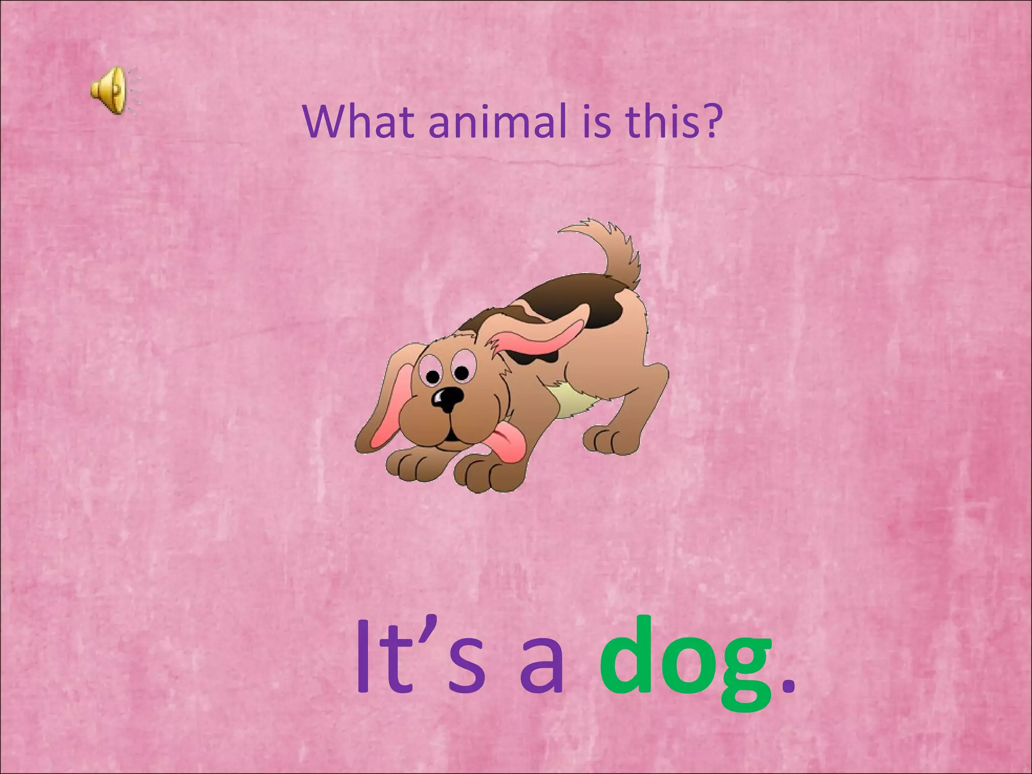 What animal is this? It’s a  dog . 