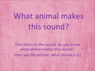 What animal makes this sound? First listen to the sound: do you know what animal makes this sound?  Then see the picture: what animal is it? 