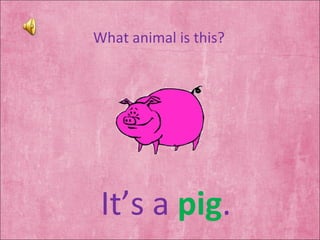 What animal is this? It’s a  pig . 