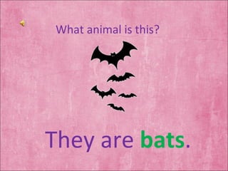 What animal is this? They are  bats . 