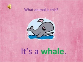 What animal is this? It’s a  whale . 