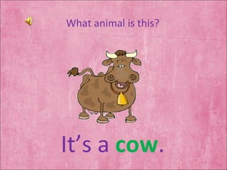 What animal is this? It’s a  cow . 